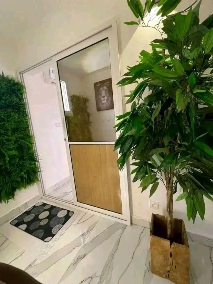 Studio Disign 3 Lope Extérieur photo